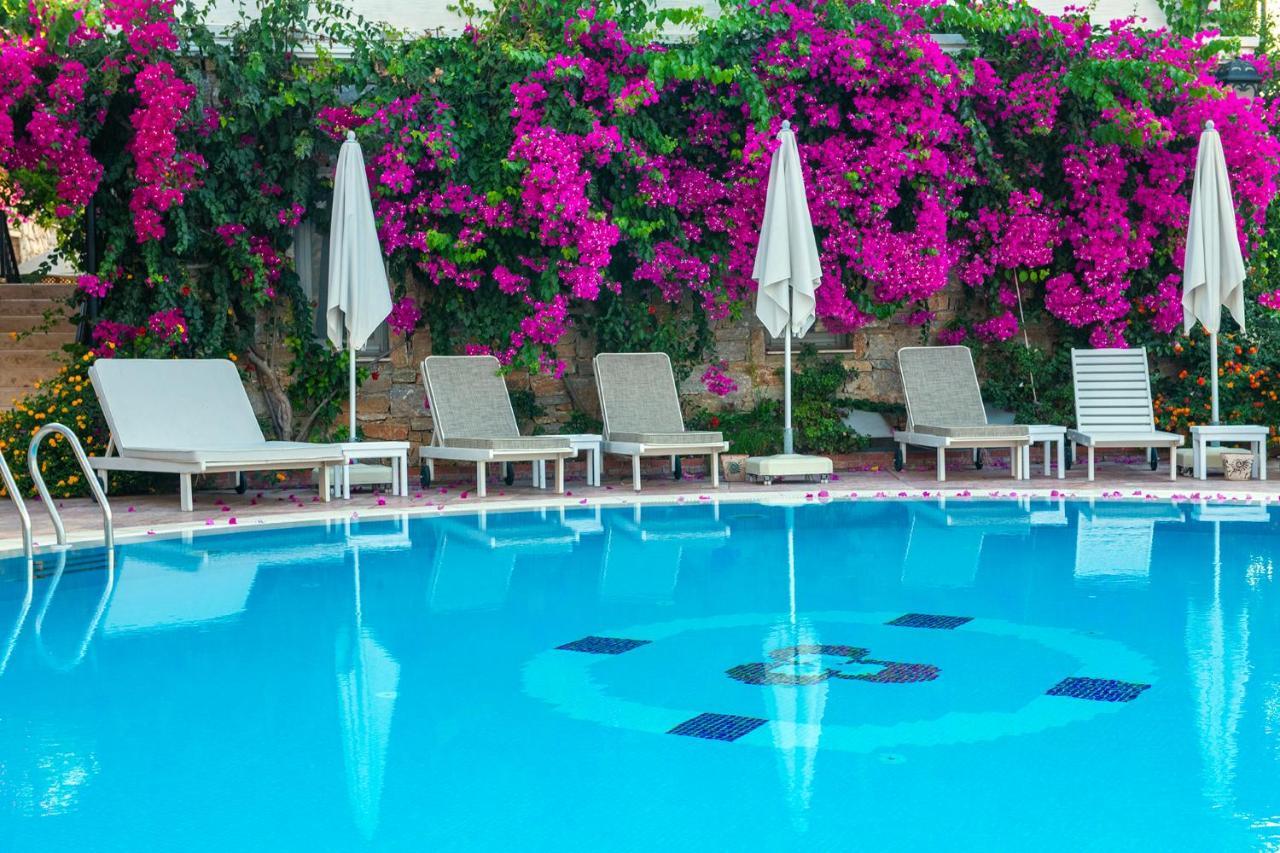 Swan Lake Hotel - Adult Only Selimiye  Exteriör bild